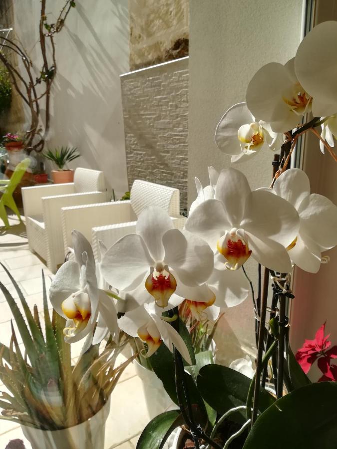 Meraki B&B Lecce Exteriér fotografie